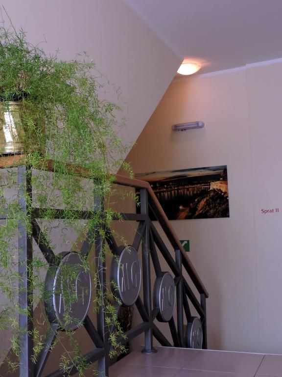 Sremska Kamenica B&B Zmajevo Gnezdo 021 المظهر الخارجي الصورة