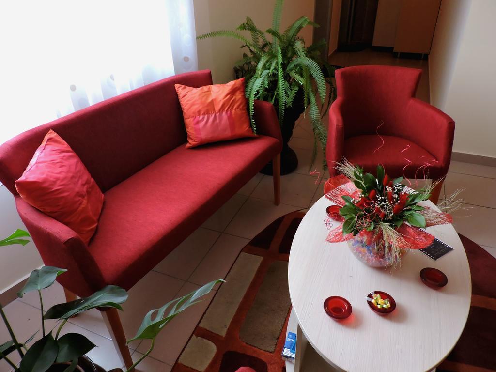 Sremska Kamenica B&B Zmajevo Gnezdo 021 المظهر الخارجي الصورة