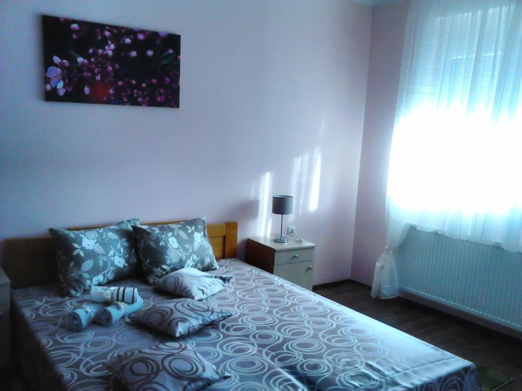 Sremska Kamenica B&B Zmajevo Gnezdo 021 المظهر الخارجي الصورة
