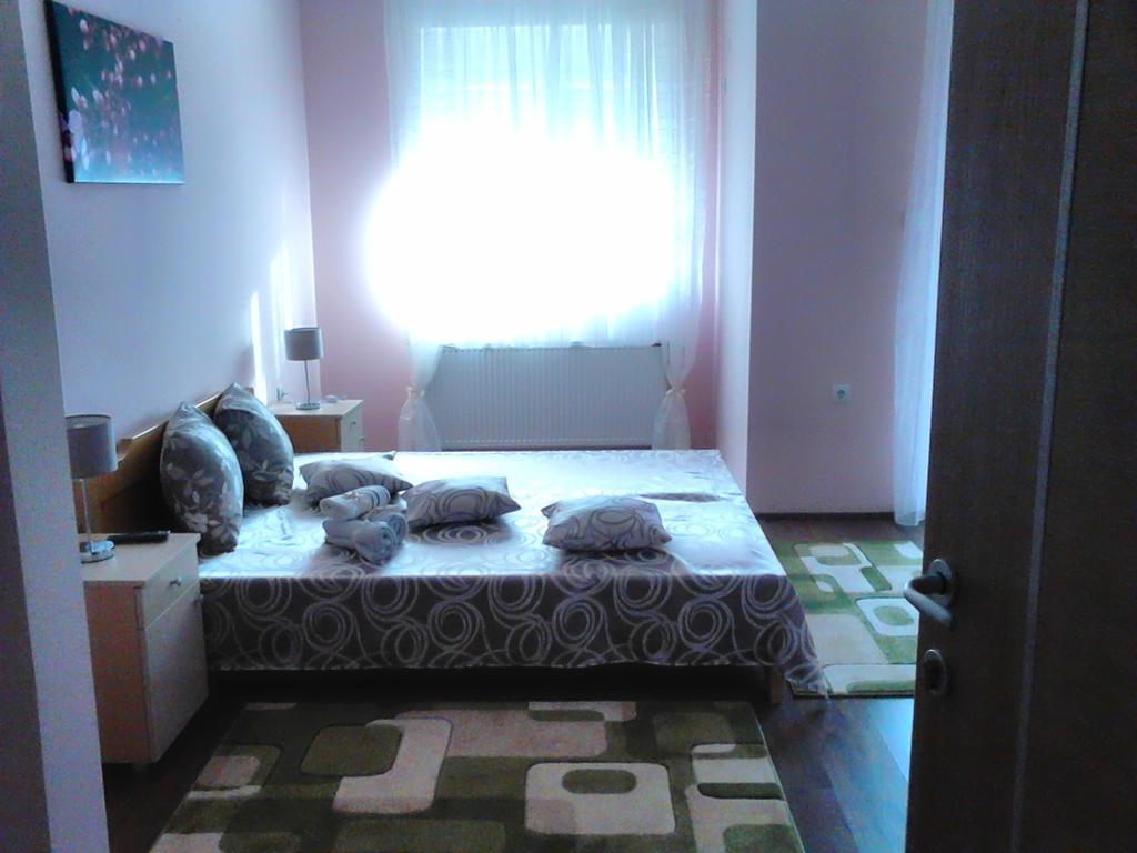 Sremska Kamenica B&B Zmajevo Gnezdo 021 المظهر الخارجي الصورة