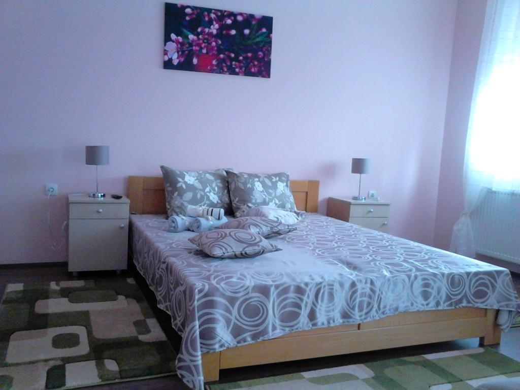 Sremska Kamenica B&B Zmajevo Gnezdo 021 المظهر الخارجي الصورة
