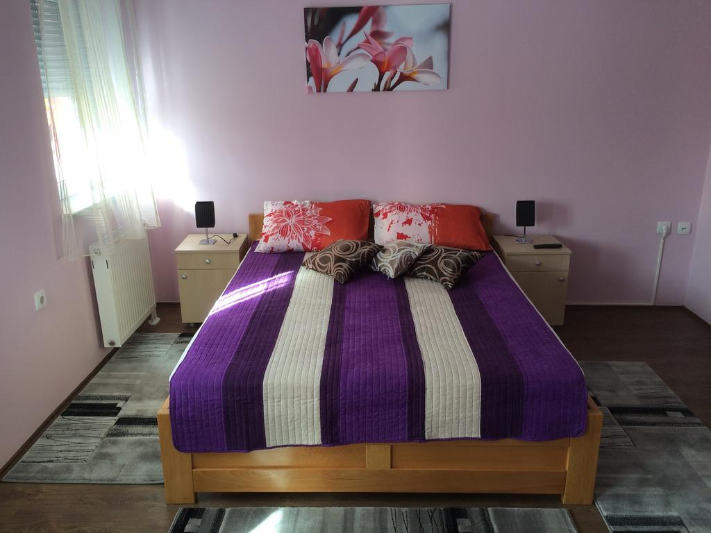 Sremska Kamenica B&B Zmajevo Gnezdo 021 الغرفة الصورة