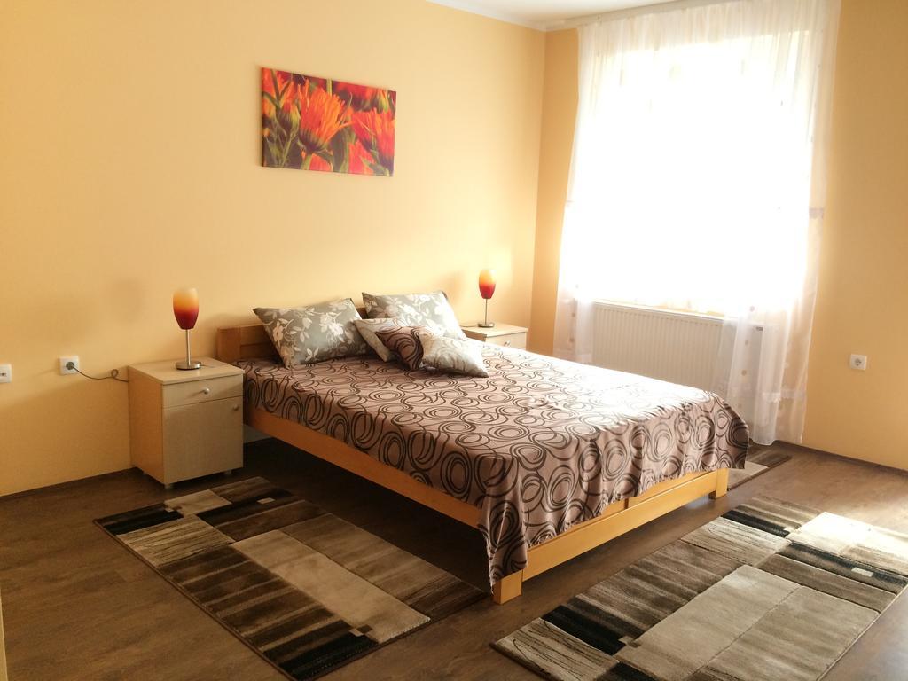 Sremska Kamenica B&B Zmajevo Gnezdo 021 المظهر الخارجي الصورة