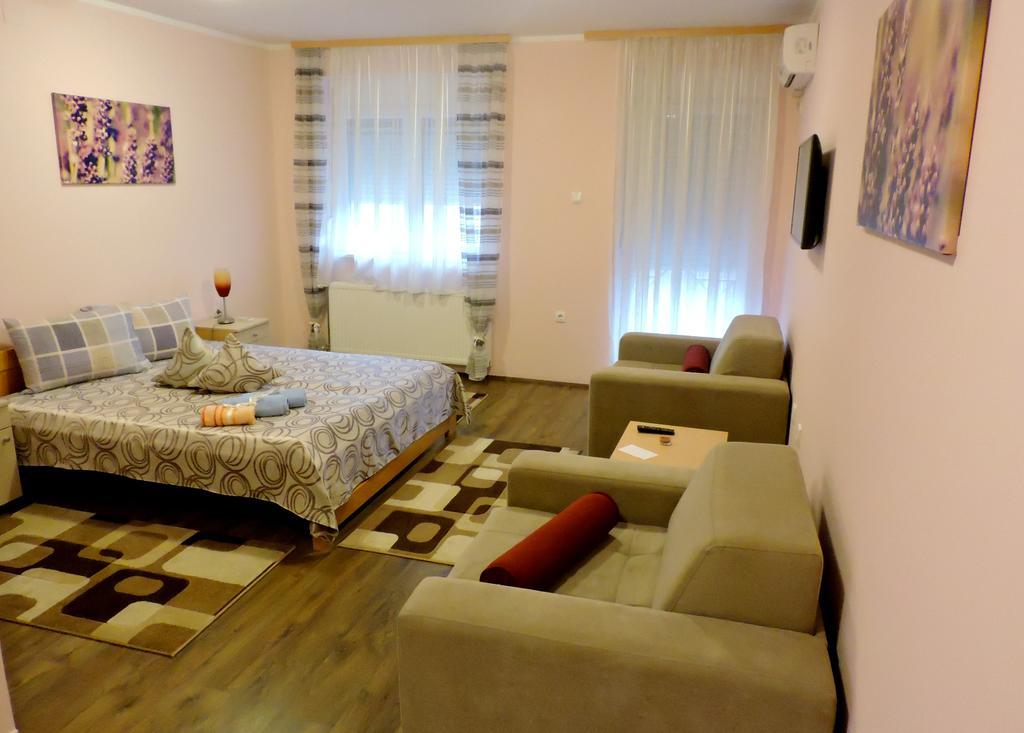 Sremska Kamenica B&B Zmajevo Gnezdo 021 المظهر الخارجي الصورة